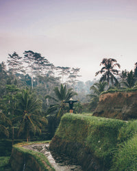 Naturaleza Indonesia