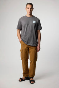 ASH NATURE TEE