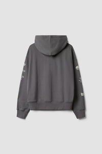 SUDADERA CON CAPUCHA FULL ZIP RANDOM ASH